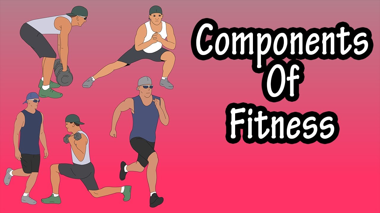 the-major-health-related-components-of-physical-fitness-how-to